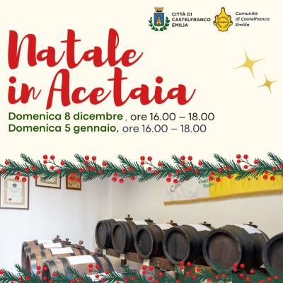 Natale in Acetaia  foto 